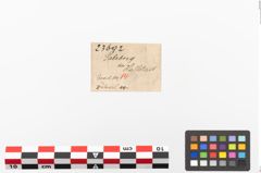 Etiketten zu Bronzemehrkopfnadel (NHMW-PRAE-023692)